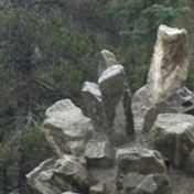 Whistler'sLargestPineCone